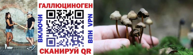 наркотики  Владимир  дарк нет как зайти  Галлюциногенные грибы GOLDEN TEACHER 